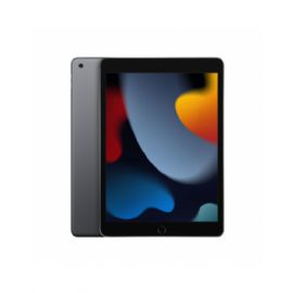 10.2-inch iPad Wi-Fi 256GB - Grigio Siderale (9th generazione) - MK2N3TY/A